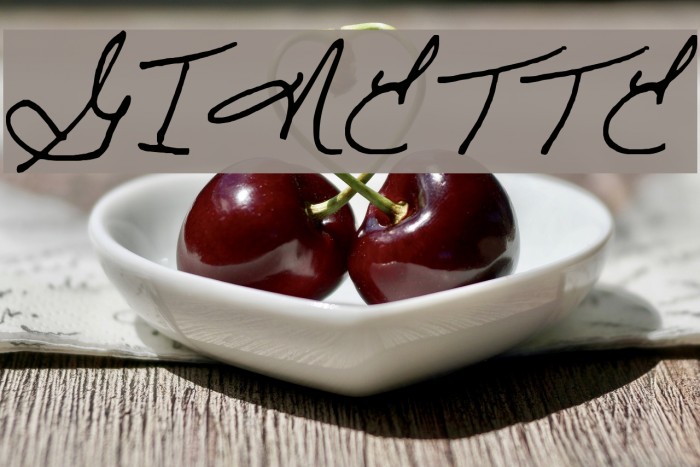 GINETTE Font examples