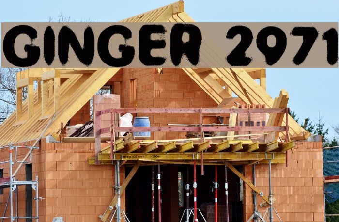 GINGER 2971 Example 1