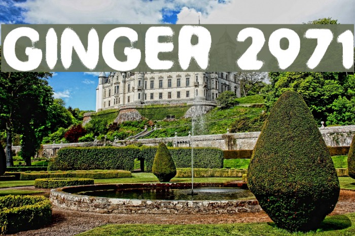 GINGER 2971 Example 2