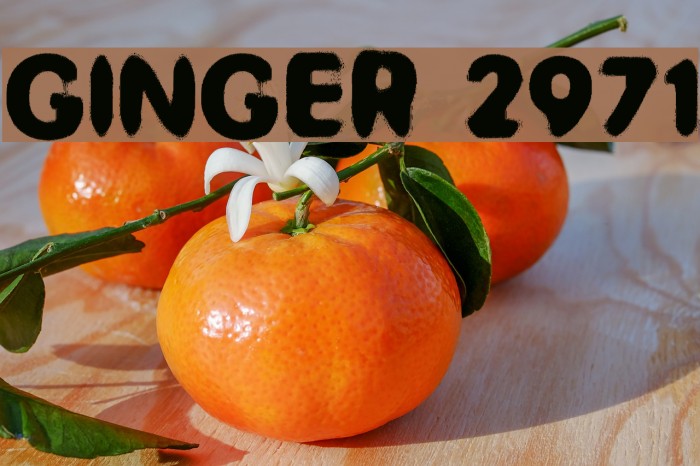 GINGER 2971 Example 3