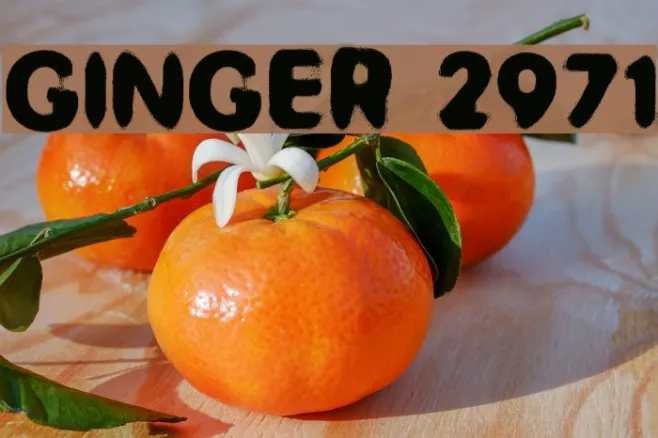 GINGER 2971 Example 3