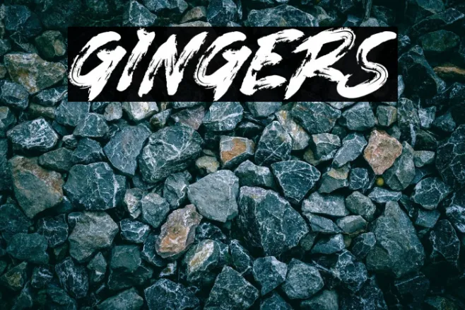 GINGERS Example 1