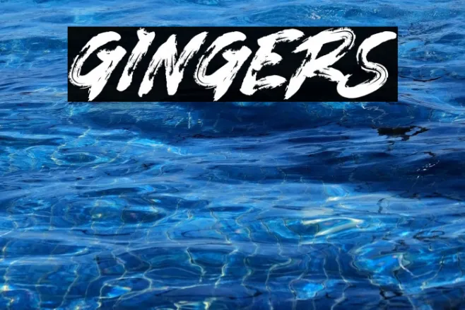 GINGERS Example 2