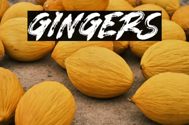 GINGERS Example 3