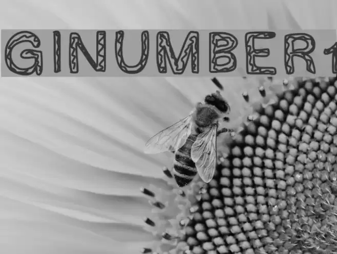 GINUMBER1 Font examples