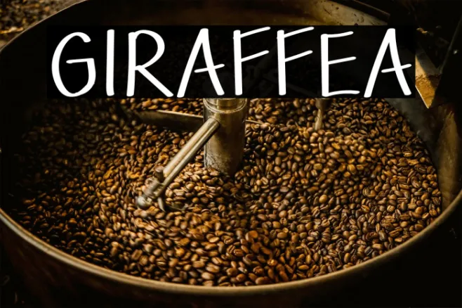 GIRAFFEA Example 1