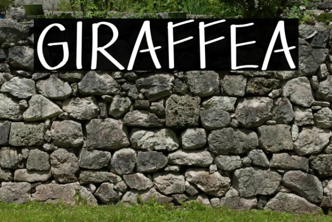 GIRAFFEA Example 2