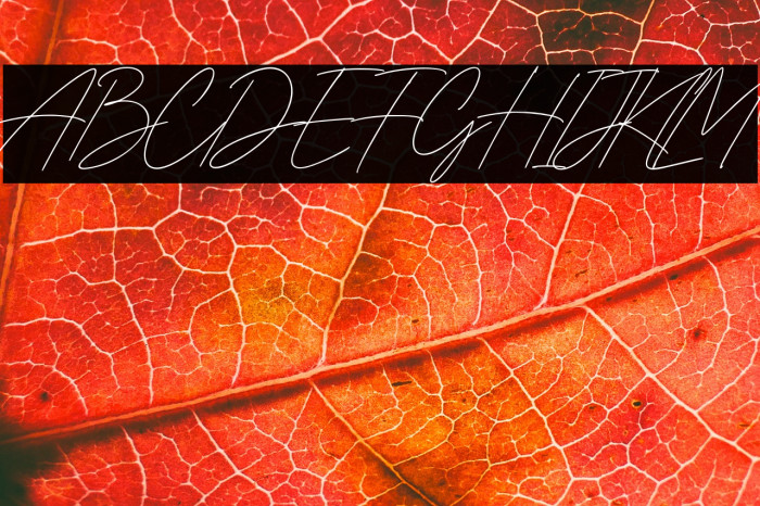 Gia Cristine Example 1