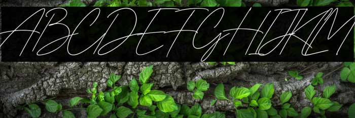 Gia Cristine Example 2