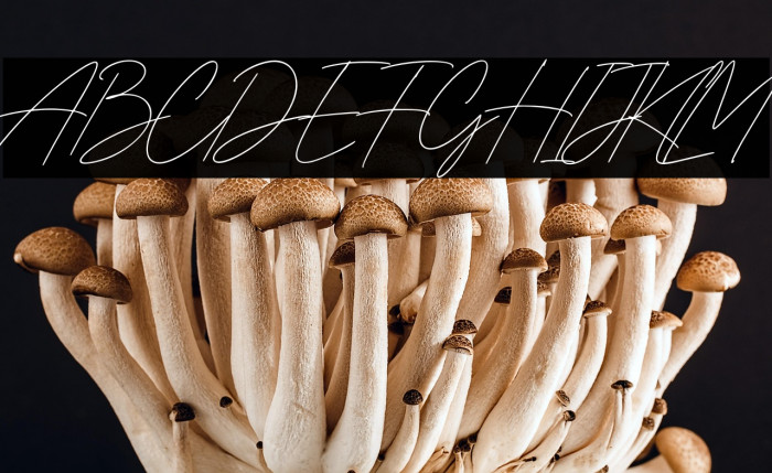 Gia Cristine Example 3