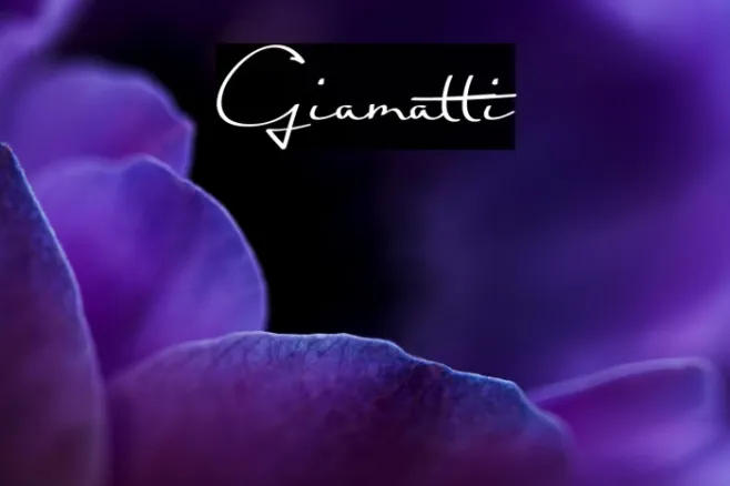 Giamatti Example 2