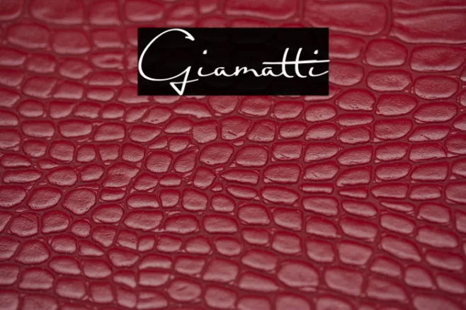 Giamatti Example 3
