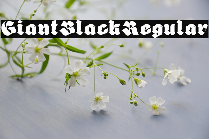 Giant Black Regular Example 1