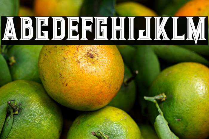 Giant Bold Inline Example 1