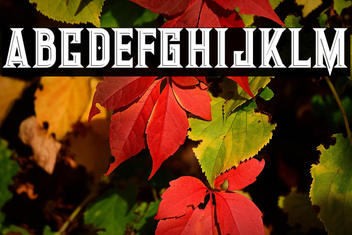 Giant Bold Inline Example 2