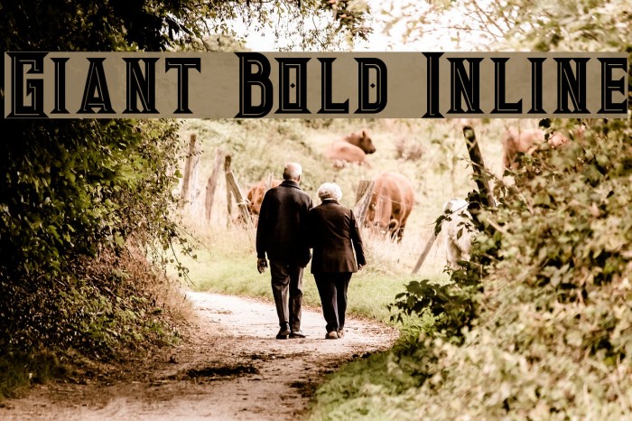 Giant Bold Inline Example 1