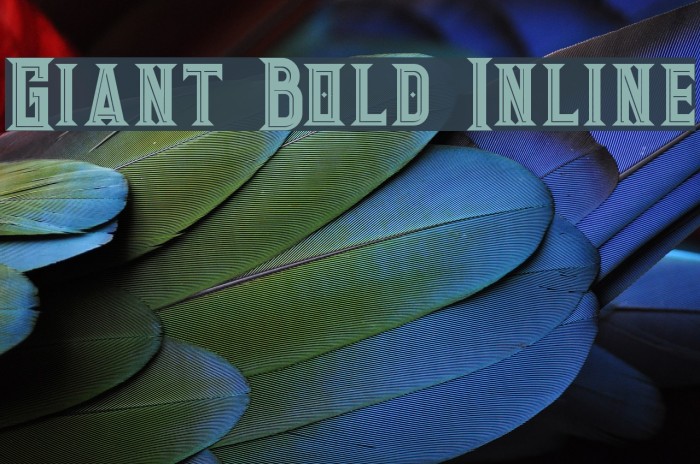 Giant Bold Inline Example 2