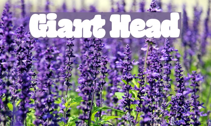Giant Head Font examples