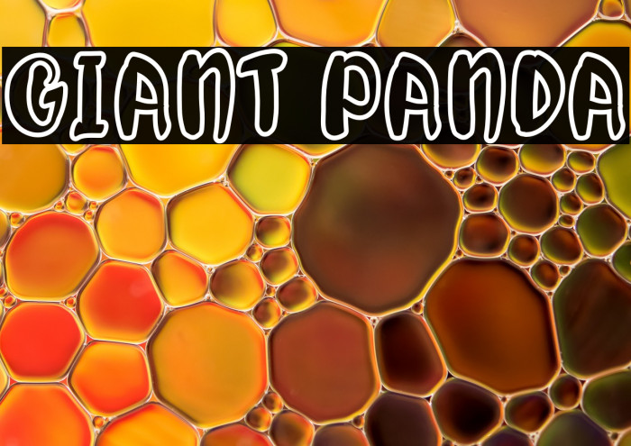 Giant Panda Example 2