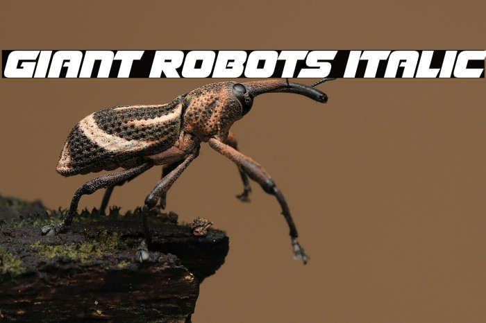 Giant Robots Italic Example 2