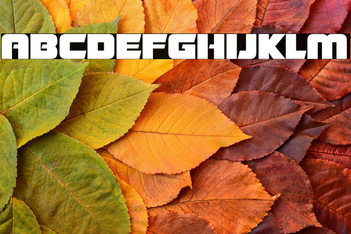 Giant Robots Example 2