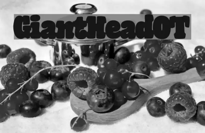 GiantHeadOT Font examples