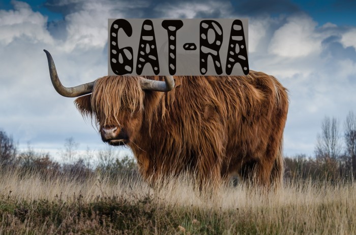 GiantTigers-Regular Example 3