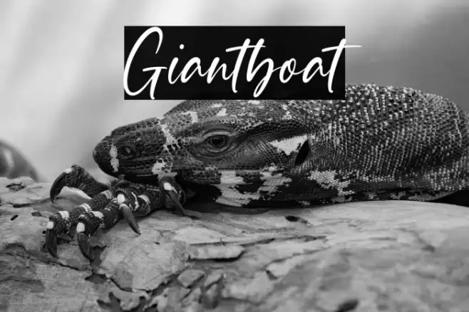 Giantboat Schriftart examples