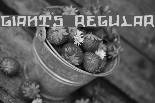 Giants Regular Font examples