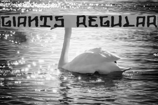 Giants Regular Font examples