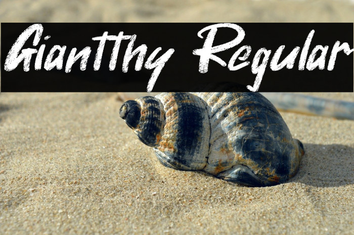 Giantthy Regular Example 1