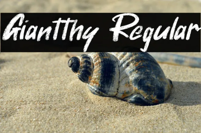 Giantthy Regular Example 1