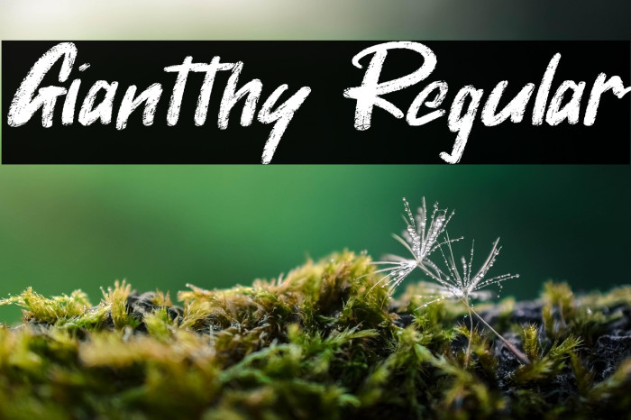 Giantthy Regular Example 2