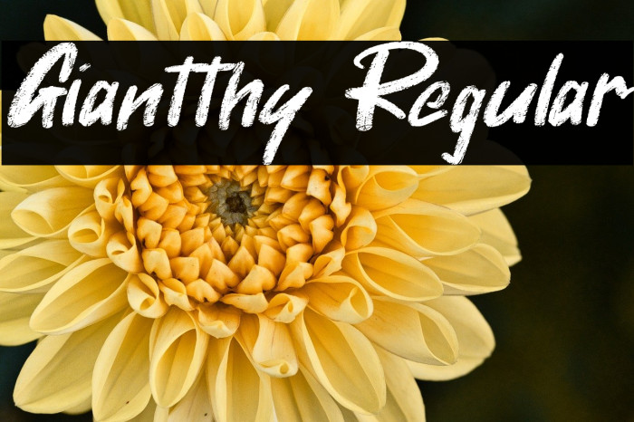 Giantthy Regular Example 3