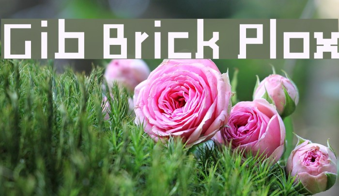 Gib Brick Plox Font examples