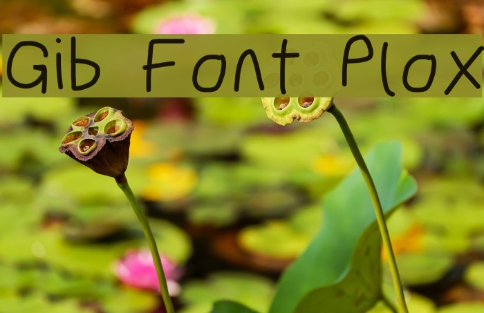 Gib Font Plox Font examples
