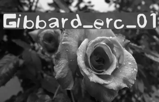 Gibbard_erc_01 Font examples