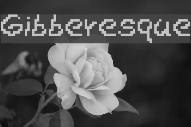 Gibberesque Font examples