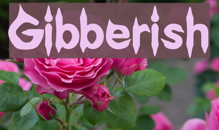 Gibberish フォント examples
