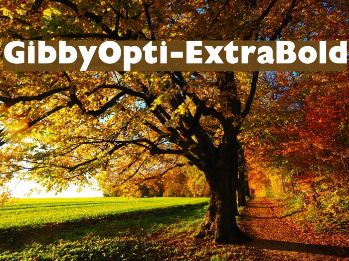 GibbyOpti-ExtraBold Font examples