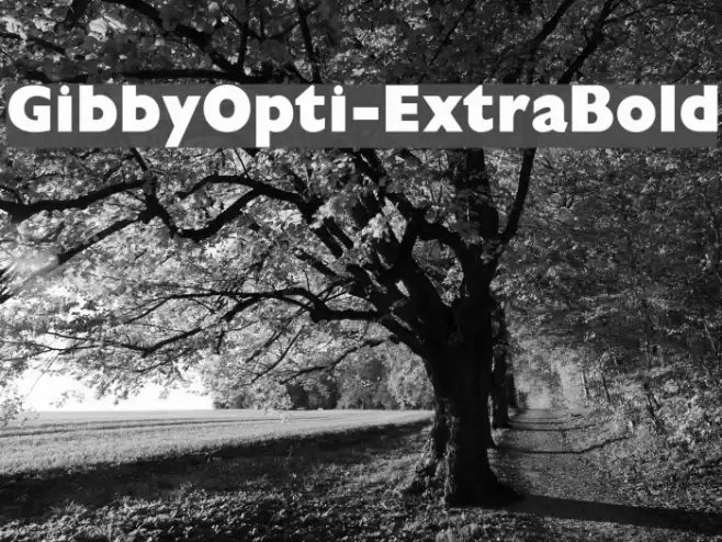 GibbyOpti-ExtraBold Fonte examples
