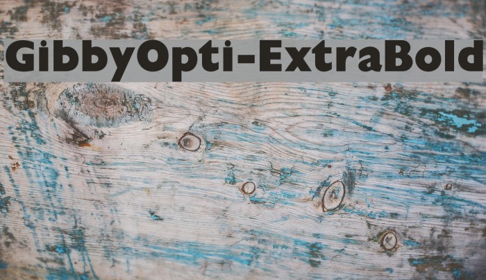 GibbyOpti-ExtraBold Font examples