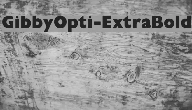 GibbyOpti-ExtraBold Fonte examples