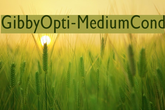 GibbyOpti-MediumCond Font examples