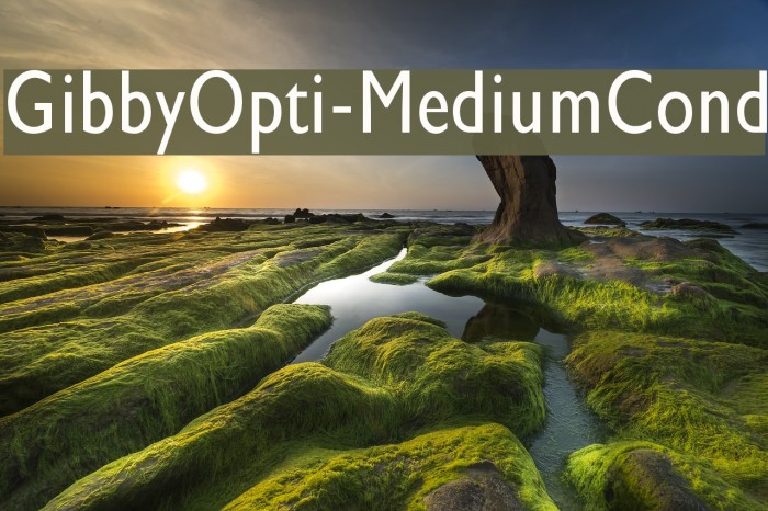 GibbyOpti-MediumCond Font examples