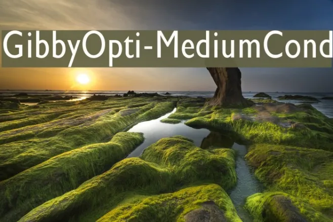 GibbyOpti-MediumCond Example 2