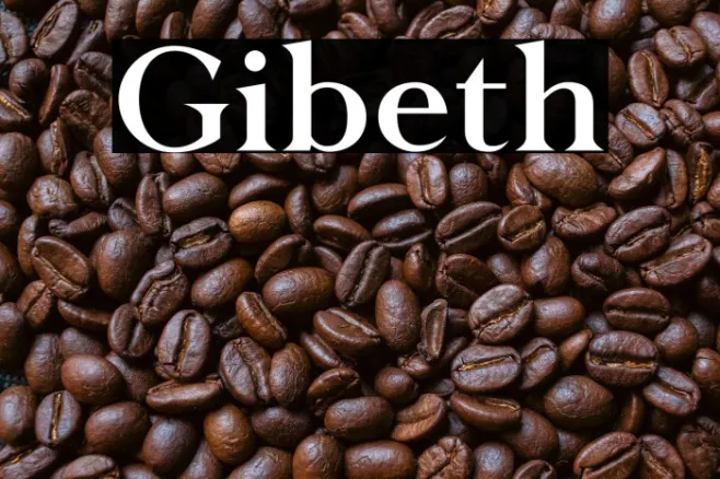 Gibeth Example 1