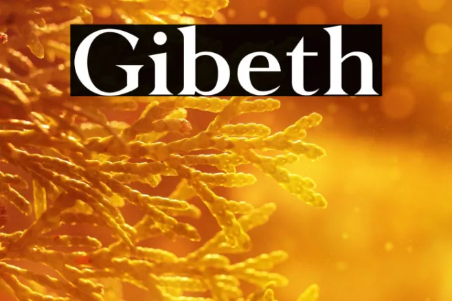 Gibeth Example 3