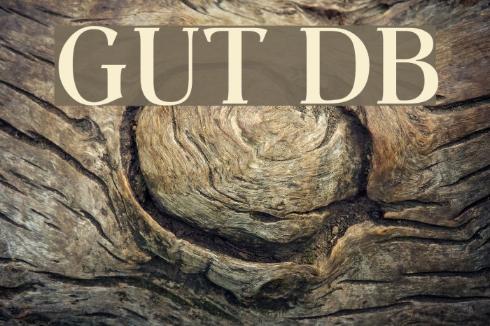 GibranUT DemiBold Font examples