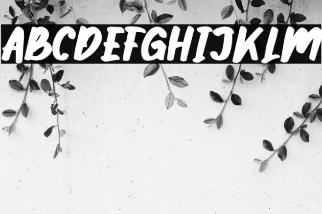 Gibsonwalsh Font examples